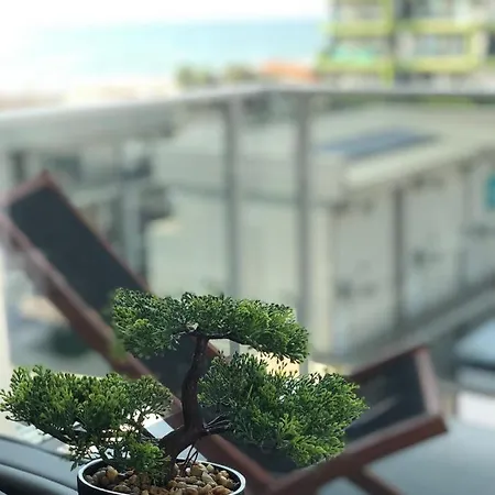 Seashore Holiday * Năvodari